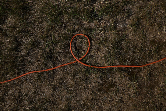 EME25486 60002 juror