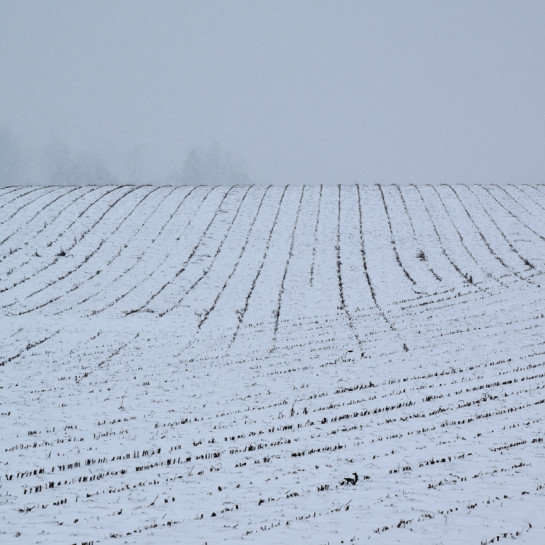 GUI39087 54824 for web