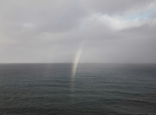 ABR98257 04389 juror2