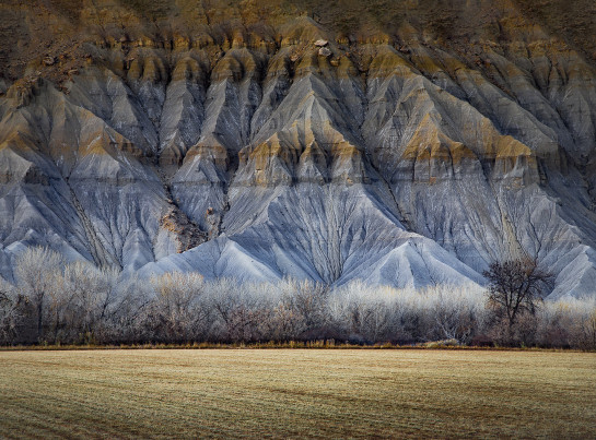 BAB93734 48517 juror