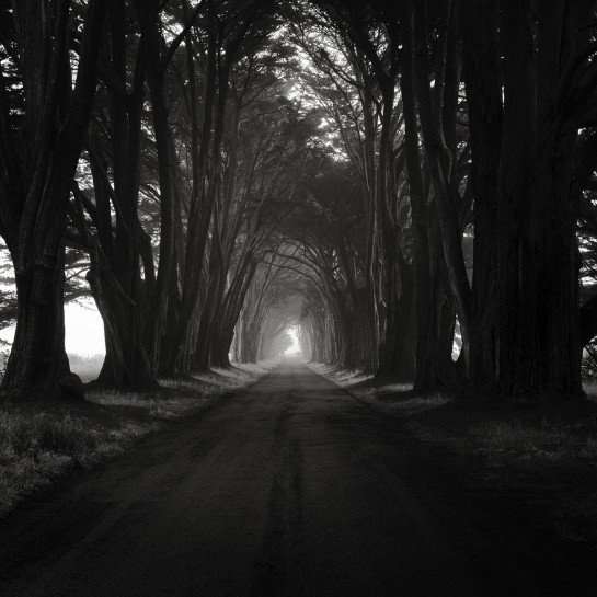 BEL72387 97843 juror