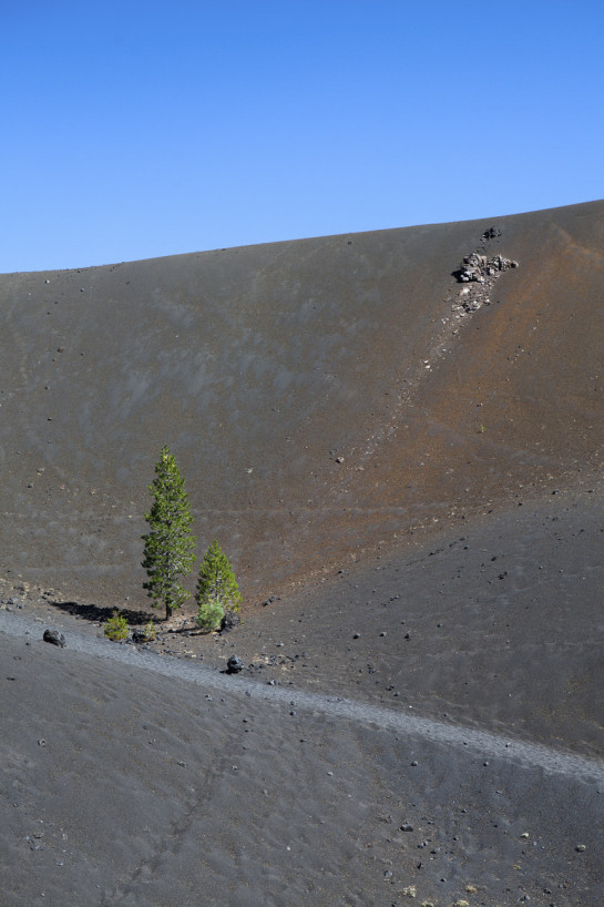 CRA28484 25096 juror