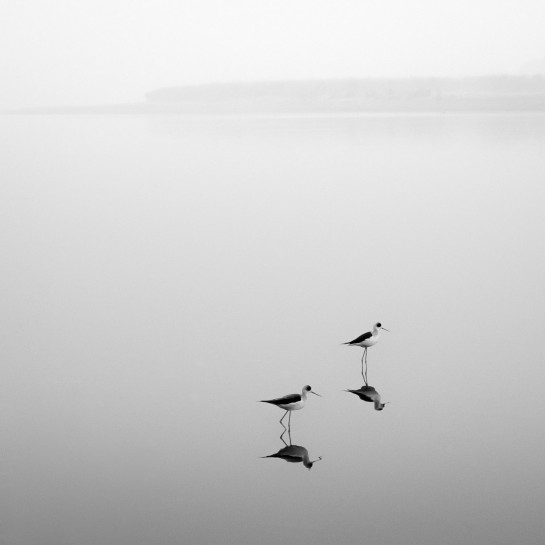 CUL48405 18565 juror