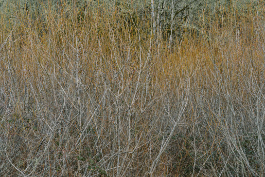 EDW80871 42165 juror