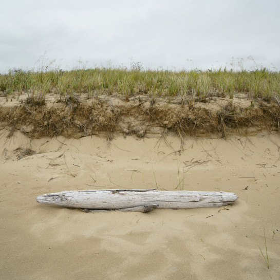 GOO95686 19768 juror