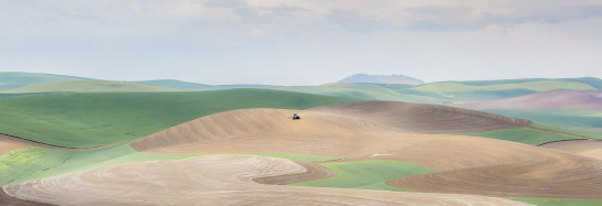 HEL18132 36268 juror