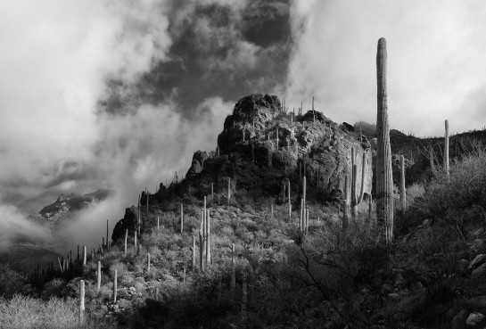 KEL25781 77891 juror