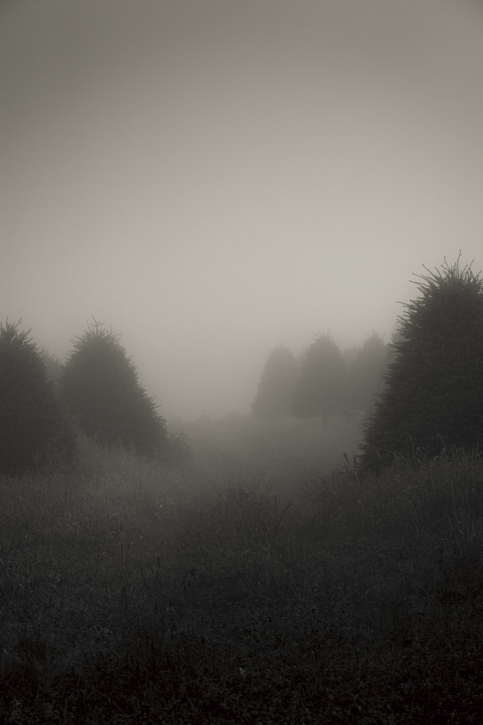 MUS32608 24628 juror