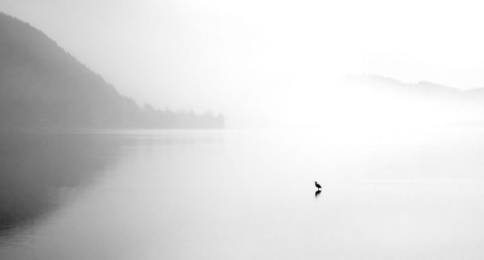 RAN16782 90711 juror