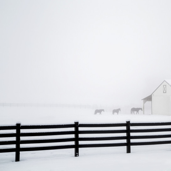 RYA67077 81667 juror