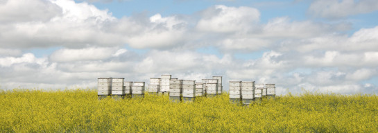 SOB93147 78542 juror