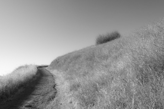 SOW56534 35763 juror