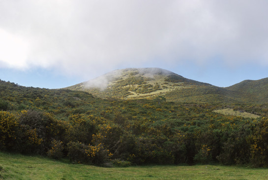 THO48975 20105 juror