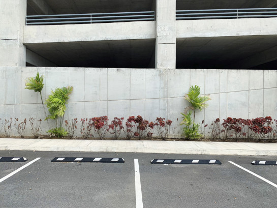 WAL84092 08207 juror