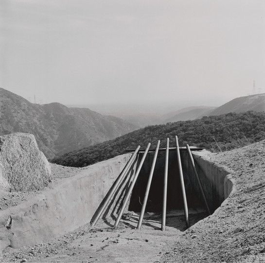 WAR06526 66277 juror