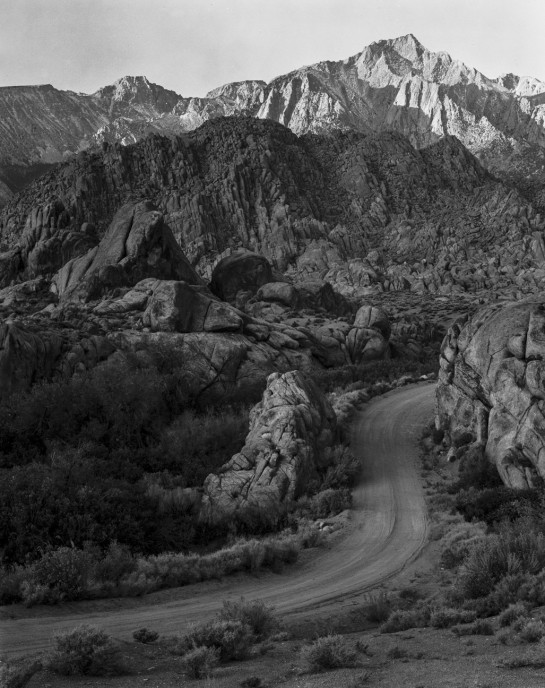 WIN12275 82735 juror