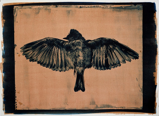 Bulger_Scott_Memento Mori