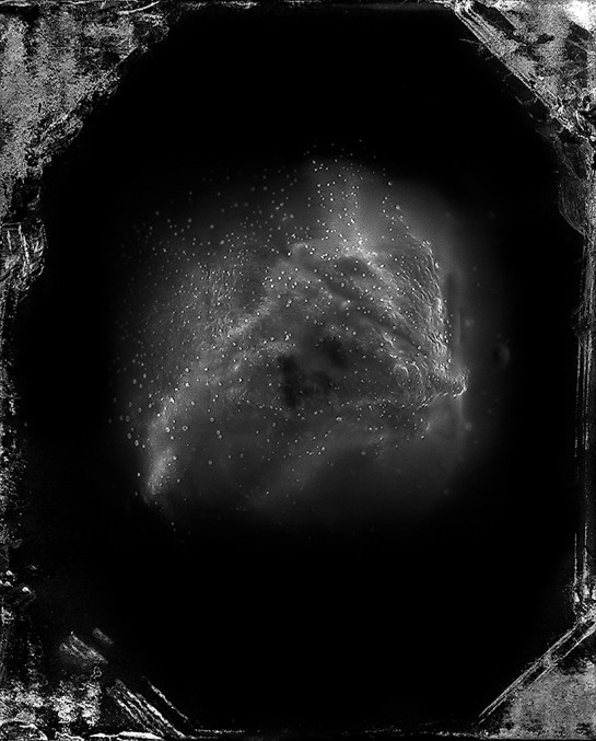 DeSieno_Marcus_1SelfPortrait_1_Epithelial_Cell