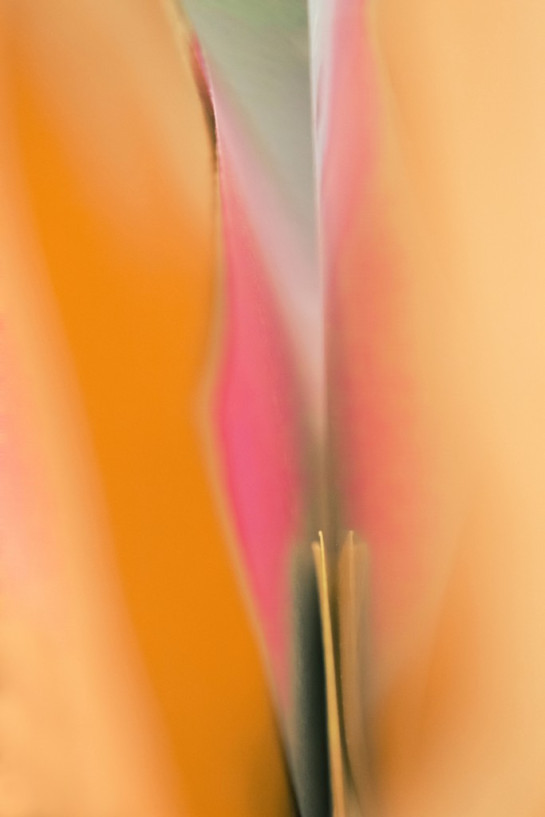 Fairchild_Catherine_Sticky Notes 04 (Nota Bene Series)