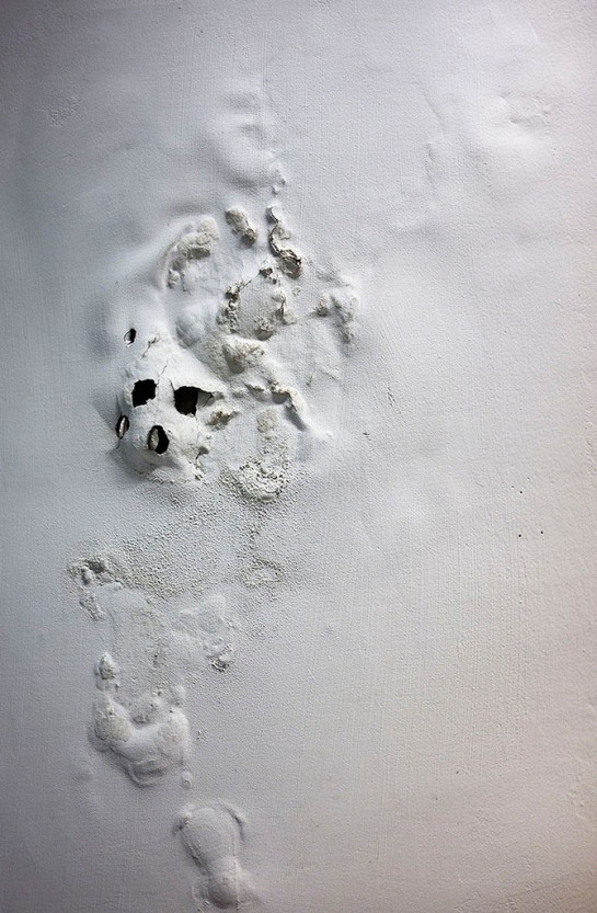 Jordao_Carlos_1The Force