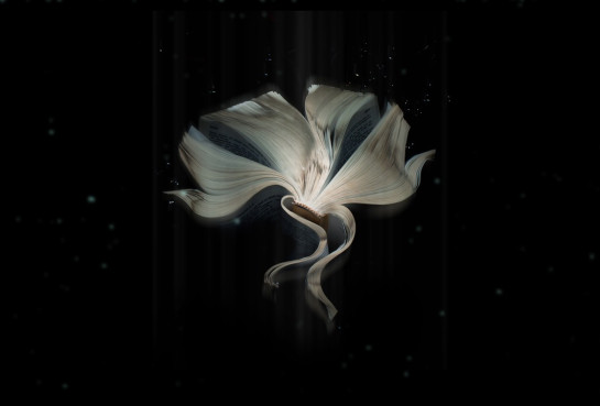 Monahan_Math_3Specimen02187