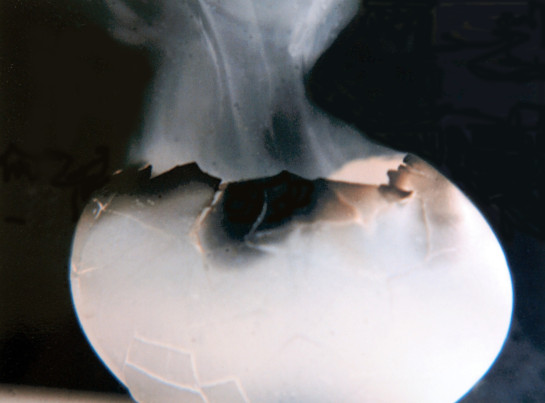 Nosbisch_Dick_1_Vanishing_Life_