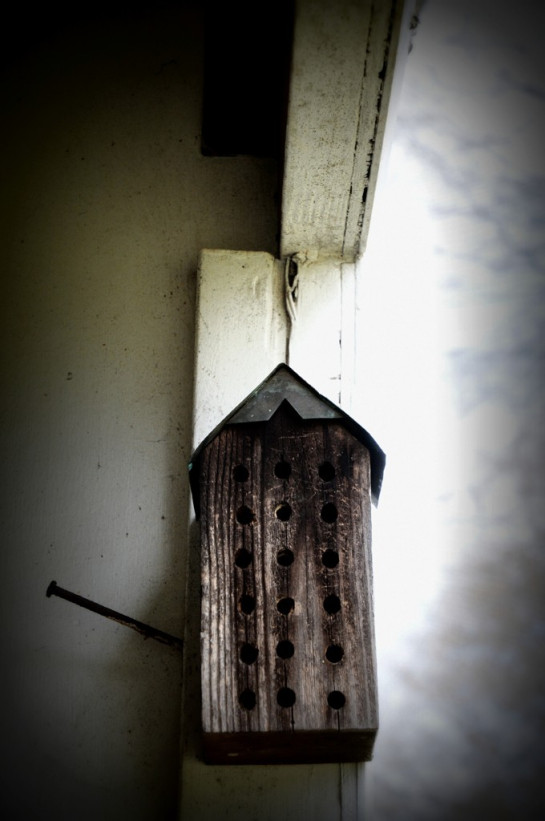 VanWinkle_Benita_2BeeHouse