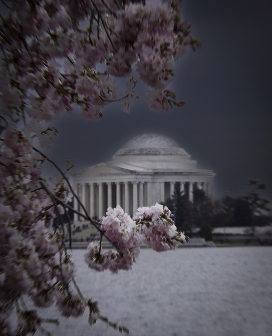 BED58304 37327 juror