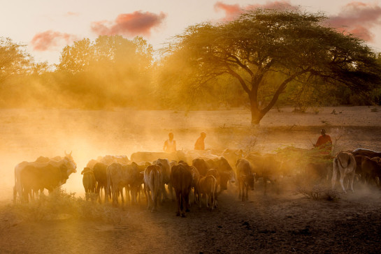 BRO95424 96404 juror