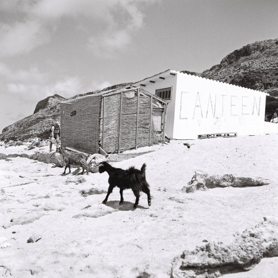 BUT79747 65697 juror v2