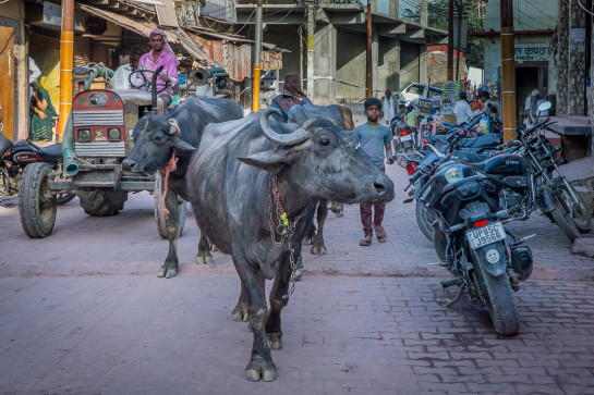 DAN52822 50958 juror