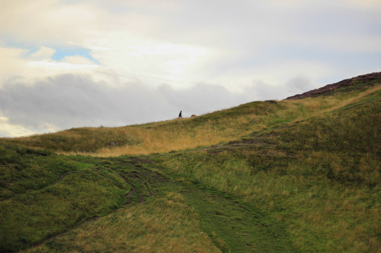 JUD07358 23091 juror