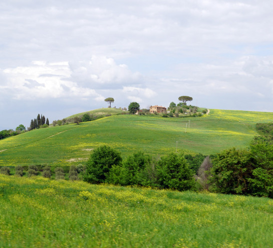 MIL73148 95831 juror