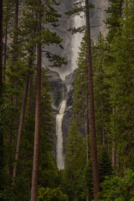 MIN51446 24591 juror