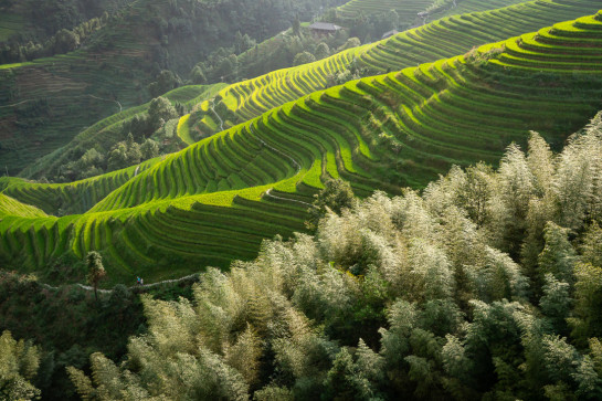 MIT71929 02569 juror