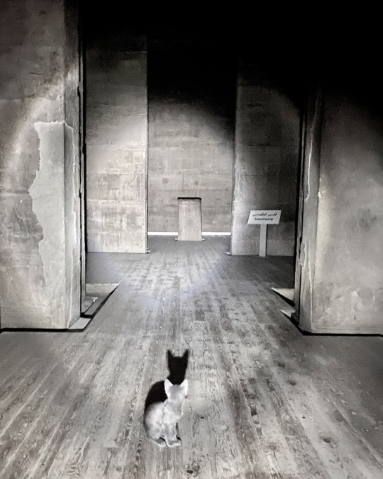 TOW17924 78972 juror