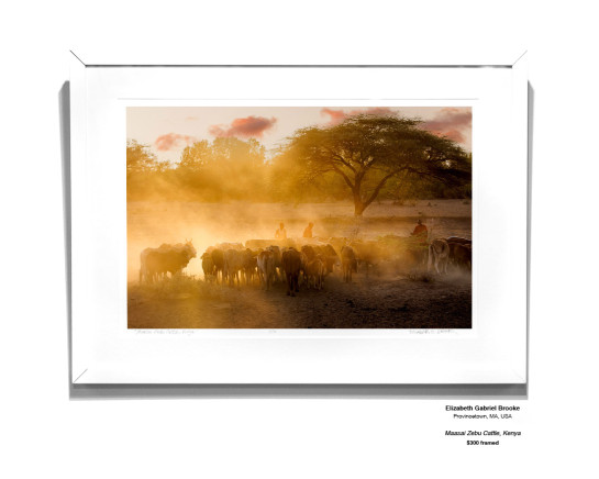 Travel Installation 08