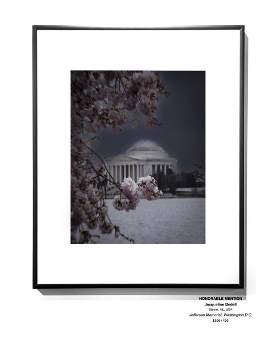 Travel Installation 14