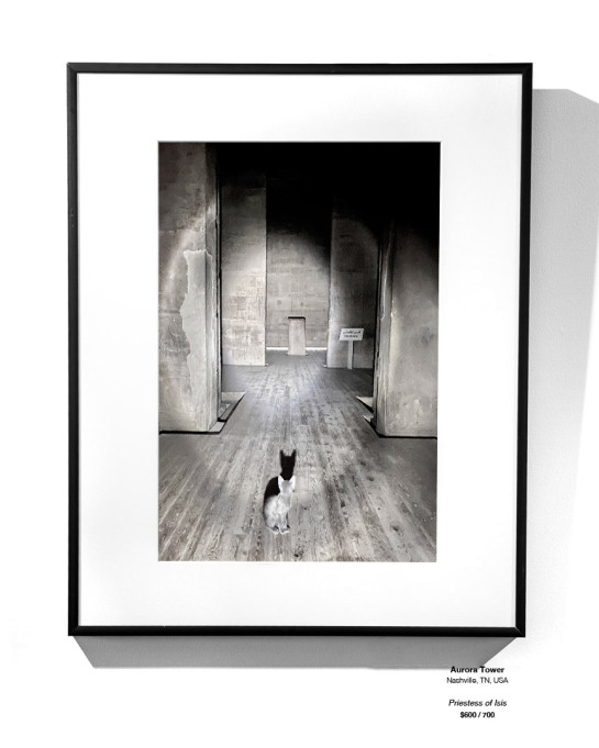 Travel Installation 19