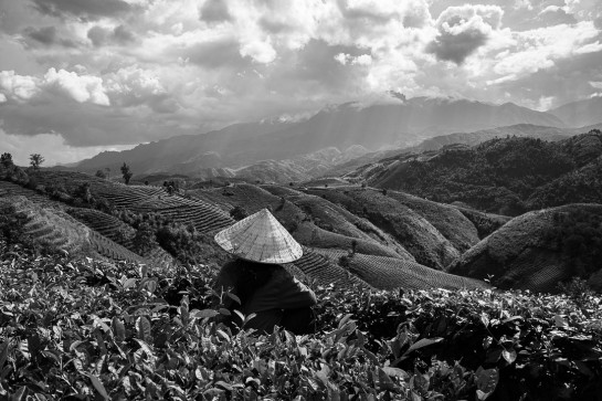 WHI37575 18147 juror v2