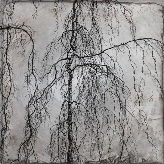 SHA02681 46206 juror