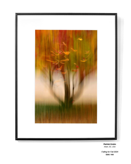 Trees Installation 01