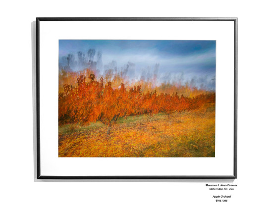 Trees Installation 02