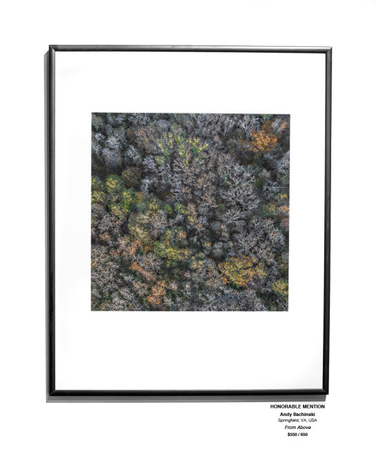 Trees Installation 03