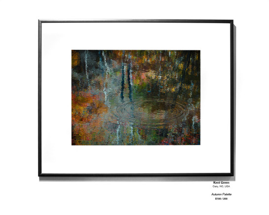 Trees Installation 04