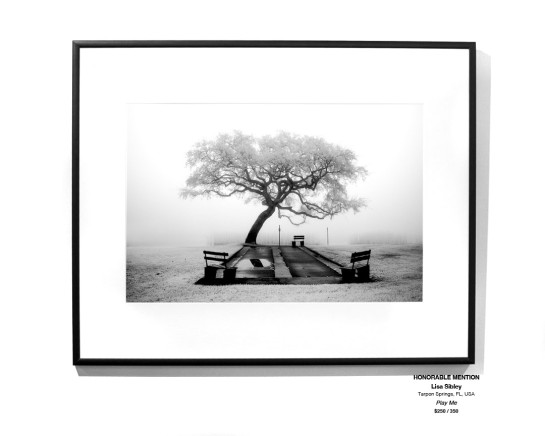 Trees Installation 05