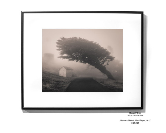 Trees Installation 07