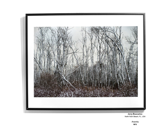 Trees Installation 09