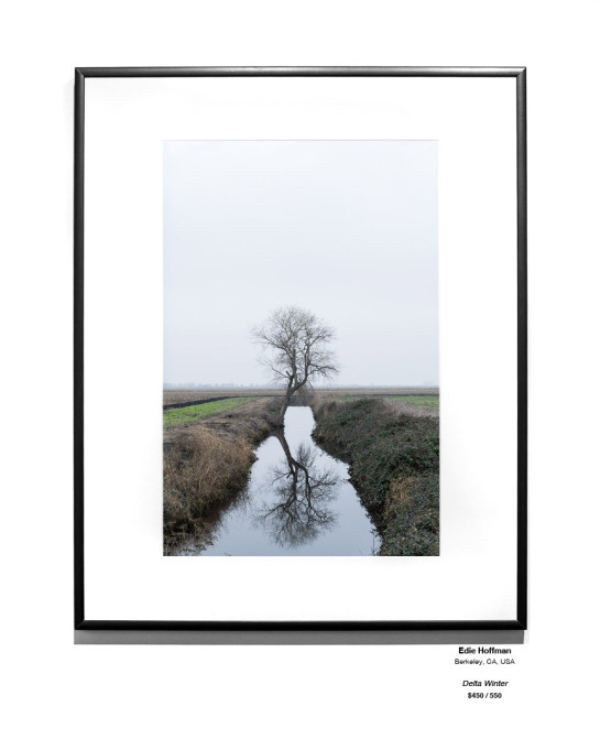 Trees Installation 10