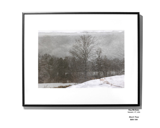 Trees Installation 11